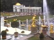 DVC000073